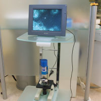 口腔内細菌観察用デジタル顕微鏡